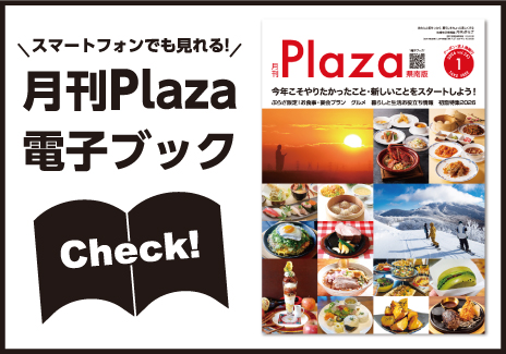 ぷらざ電子ブック