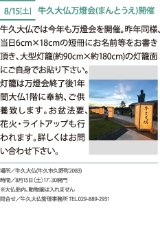 牛久大仏万燈会開催